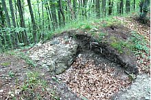 Cetatea Vityal, Campu Cetatii , Foto: Szabó Tibor