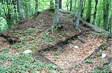Cetatea Vityal, Campu Cetatii , Foto: Szabó Tibor