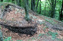 Cetatea Vityal, Campu Cetatii , Foto: Szabó Tibor