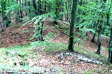 Cetatea Vityal, Campu Cetatii , Foto: Szabó Tibor