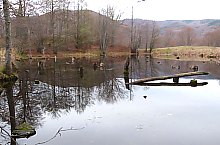 Égerfás tó, Vármező , Fotó: EKE Nagyvárad