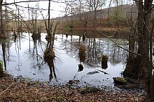 Égerfás tó, Vármező , Fotó: EKE Nagyvárad