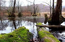 Égerfás tó, Vármező , Fotó: EKE Nagyvárad