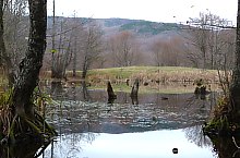 Égerfás tó, Vármező , Fotó: EKE Nagyvárad
