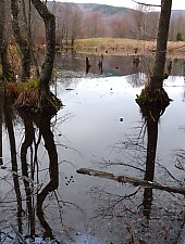 Égerfás tó, Vármező , Fotó: EKE Nagyvárad