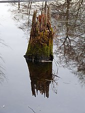Égerfás tó, Vármező , Fotó: EKE Nagyvárad
