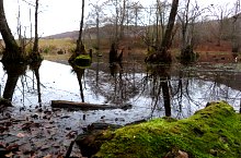Égerfás tó, Vármező , Fotó: EKE Nagyvárad
