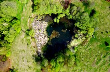 Vármező: Égerfás tó