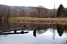 Égerfás tó, Vármező , Fotó: EKE Nagyvárad