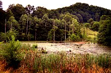 Égerfás tó, Vármező , Fotó: egyszeruek.blogspot.com