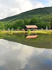 Pisztrángos, Vármező , Fotó: WR