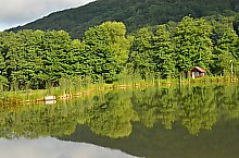 Pisztrángos, Vármező , Fotó: WR