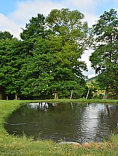 Pisztrángos, Vármező , Fotó: WR