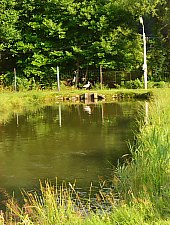 Pisztrángos, Vármező , Fotó: WR