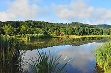 Pisztrángos, Vármező , Fotó: WR