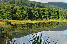 Pisztrángos, Vármező , Fotó: WR