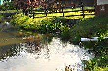 Pisztrángos, Vármező , Fotó: WR