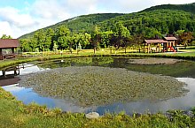 Pisztrángos, Vármező , Fotó: WR