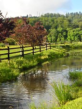 Pisztrángos, Vármező , Fotó: WR