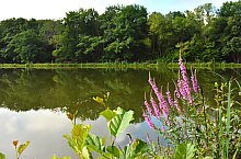 Pisztrángos, Vármező , Fotó: WR