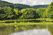 Pisztrángos, Vármező , Fotó: WR