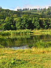 Pisztrángos, Vármező , Fotó: WR