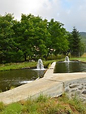 Pisztrángos, Vármező , Fotó: WR