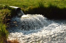 Pisztrángos, Vármező , Fotó: WR