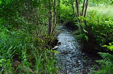 Apa minerala, Capalnita , Foto: WR
