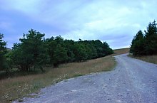 Urusos spring, Dealu , Photo: Csedő Attila