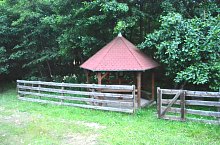 Urusos spring, Dealu , Photo: Csedő Attila