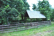 Urusos spring, Dealu , Photo: WR