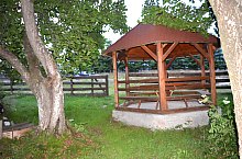 Urusos spring, Dealu , Photo: WR