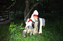 Urusos spring, Dealu , Photo: WR