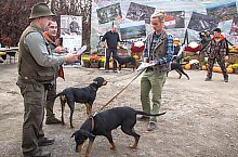 Expozitia canina, Sangeorgiu de Padure , Foto: Boda Gergely Levente