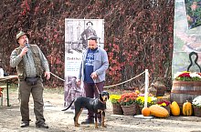 Expozitia canina, Sangeorgiu de Padure , Foto: Boda Gergely Levente