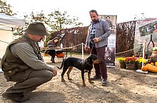 Expozitia canina, Sangeorgiu de Padure , Foto: Boda Gergely Levente