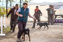 Expozitia canina, Sangeorgiu de Padure , Foto: Boda Gergely Levente