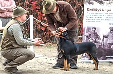 Expozitia canina, Sangeorgiu de Padure , Foto: Boda Gergely Levente