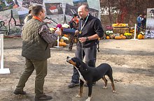 Expozitia canina, Sangeorgiu de Padure , Foto: Boda Gergely Levente