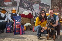 Expozitia canina, Sangeorgiu de Padure , Foto: Boda Gergely Levente