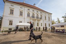 Expozitia canina, Sangeorgiu de Padure , Foto: Boda Gergely Levente