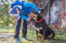 Expozitia canina, Sangeorgiu de Padure , Foto: Boda Gergely Levente