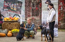 Expozitia canina, Sangeorgiu de Padure , Foto: Boda Gergely Levente