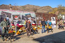 Expozitia canina, Sangeorgiu de Padure , Foto: Boda Gergely Levente