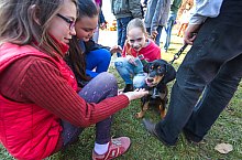 Expozitia canina, Sangeorgiu de Padure , Foto: Boda Gergely Levente