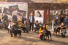 Expozitia canina, Sangeorgiu de Padure , Foto: Boda Gergely Levente