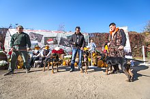 Expozitia canina, Sangeorgiu de Padure , Foto: Boda Gergely Levente