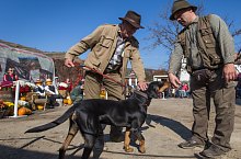 Expozitia canina, Sangeorgiu de Padure , Foto: Boda Gergely Levente