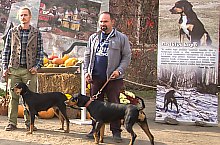 Expozitia canina, Sangeorgiu de Padure , Foto: Boda Gergely Levente
